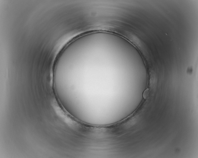 X0000113090940200909182110