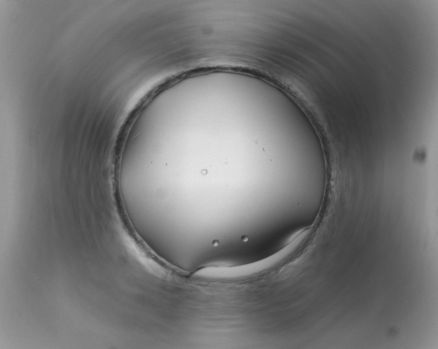 X0000113090942200909182110