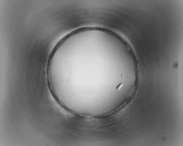 X0000113090943200909182110