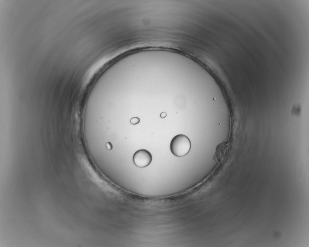 X0000113090944200909182110