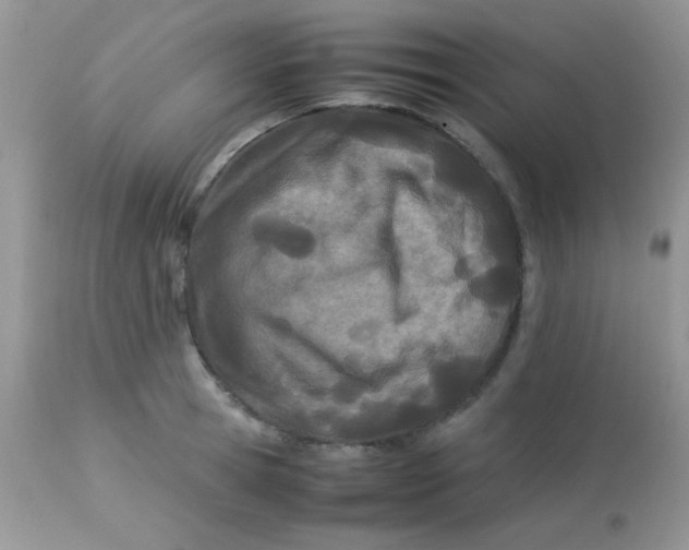 X0000113090945200909182110