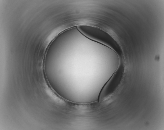 X0000113090946200909182110