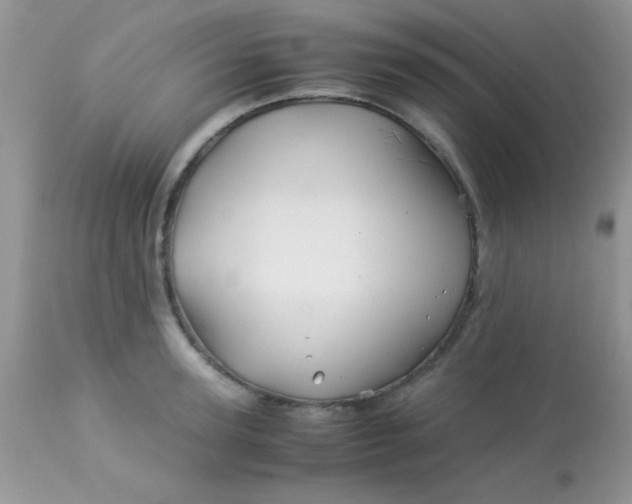 X0000113090947200909182110