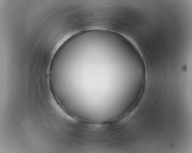 X0000113090949200909182110