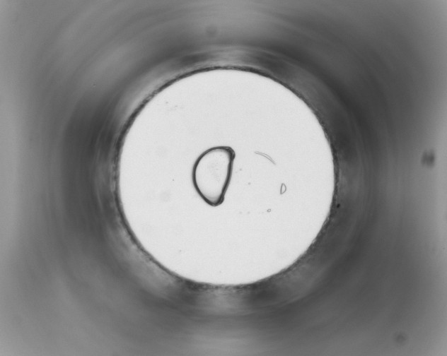 X0000113090950200909182110