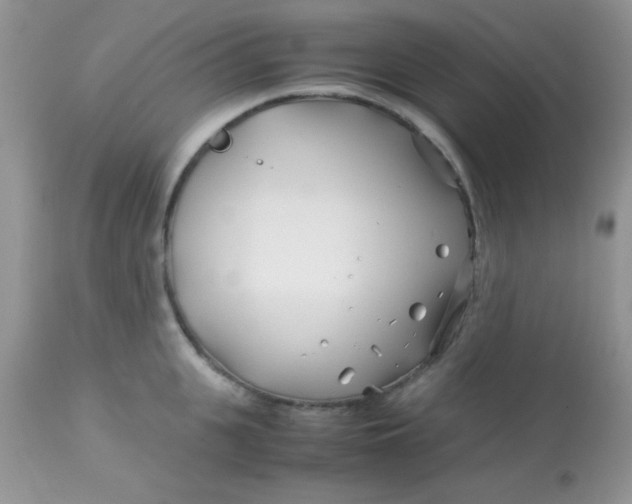 X0000113090951200909182110