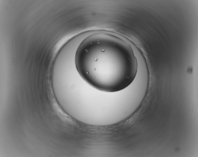 X0000113090952200909182110