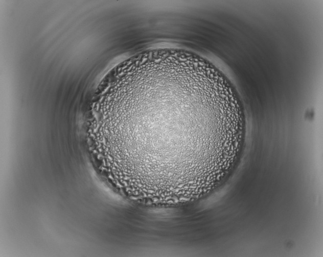 X0000113090953200909182110