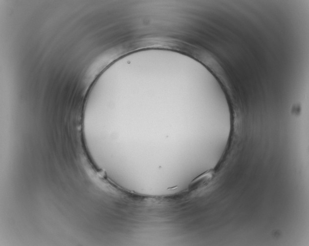 X0000113090954200909182110