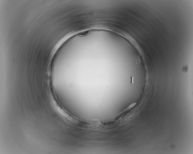 X0000113090955200909182110