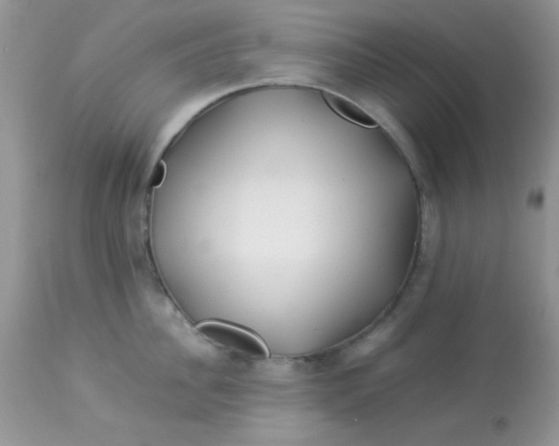 X0000113090956200909182110