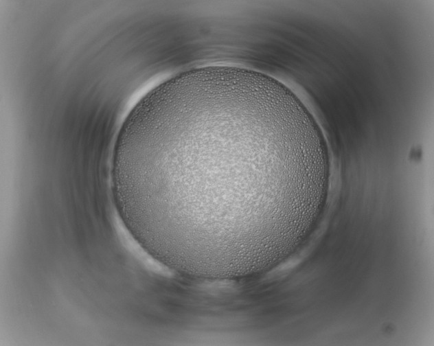 X0000113090957200909182110