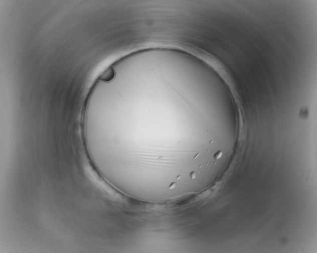 X0000113090958200909182110