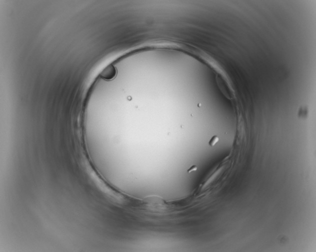 X0000113090959200909182110