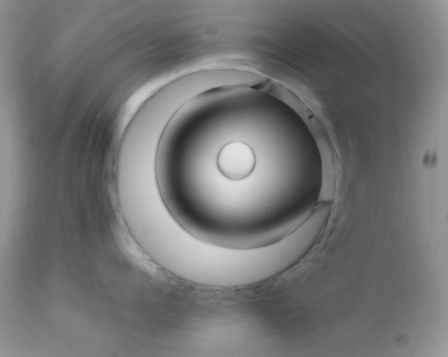 X0000113090960200909182110