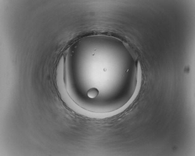 X0000113090961200909182110