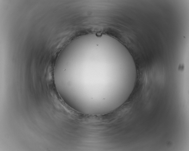 X0000113090962200909182110