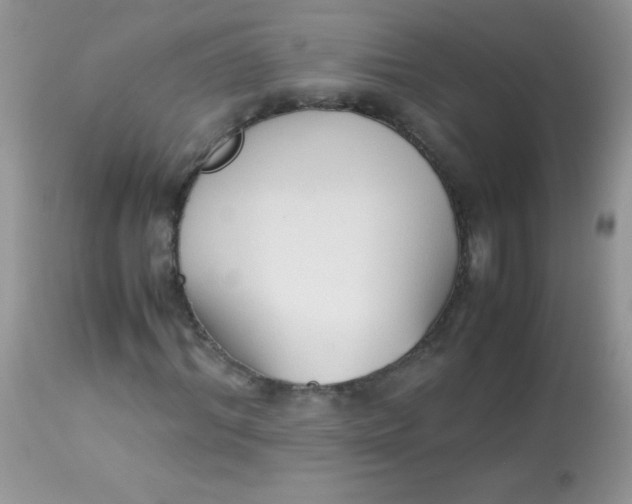 X0000113090964200909182110