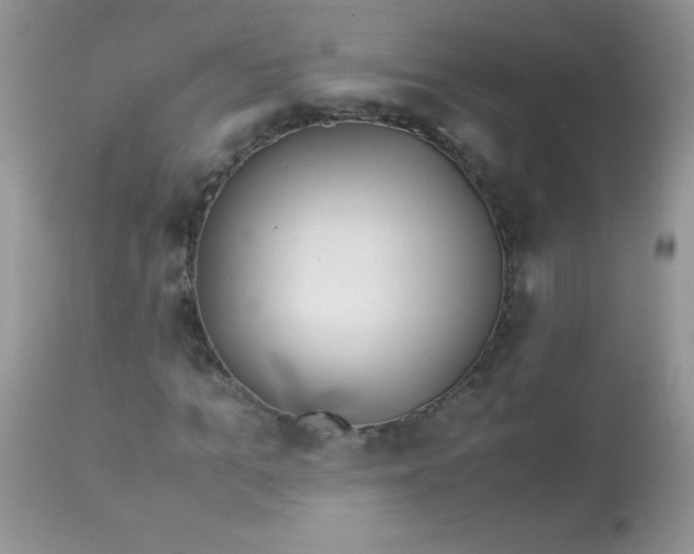 X0000113090965200909182110