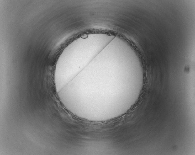 X0000113090968200909182110