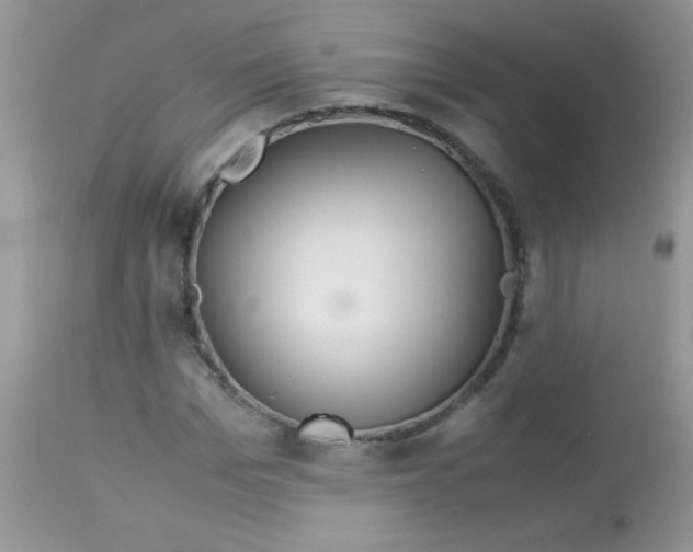 X0000113090969200909182110