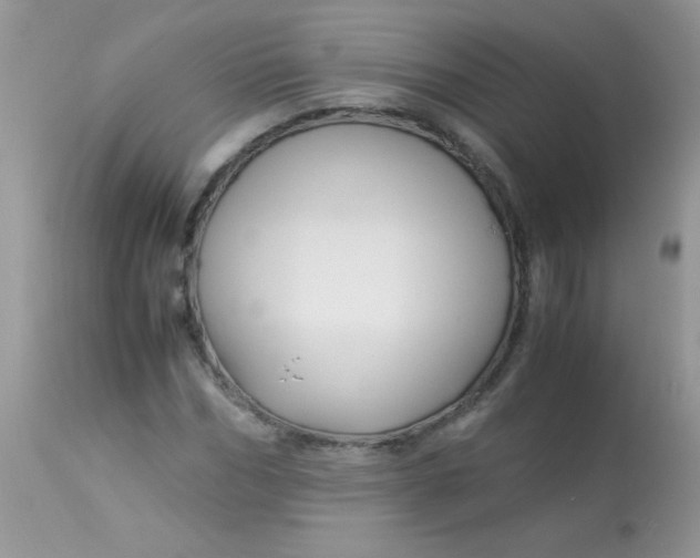 X0000113090970200909182110