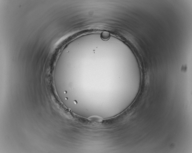 X0000113090971200909182110