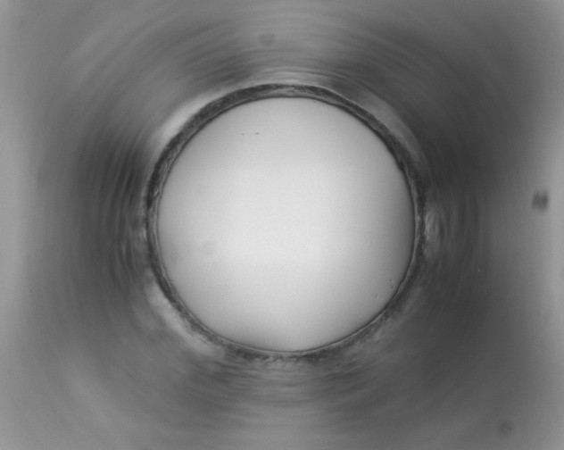 X0000113090972200909182110