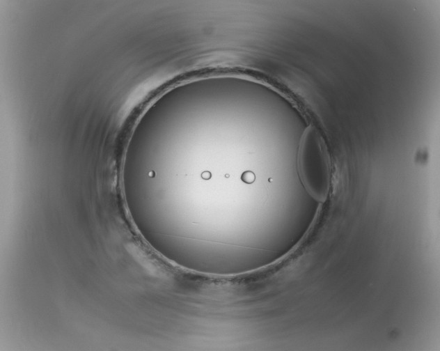 X0000113090973200909182110