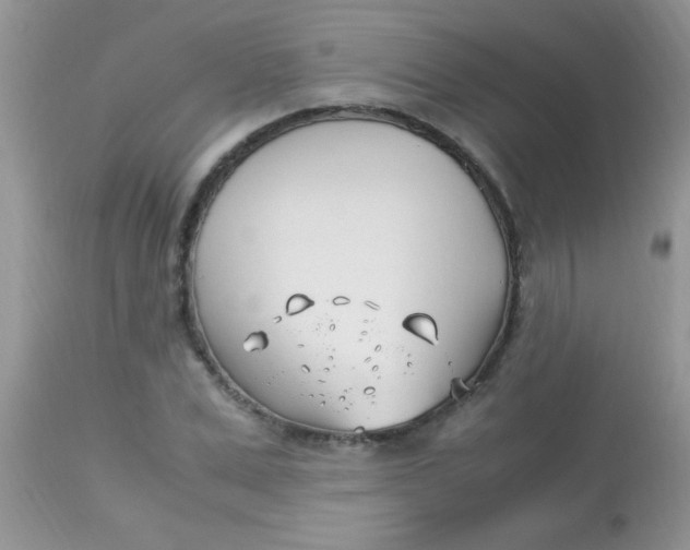 X0000113090975200909182110