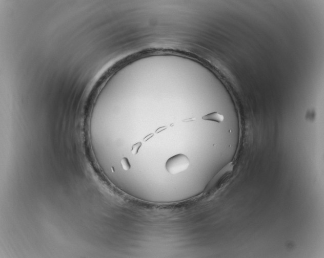 X0000113090976200909182109