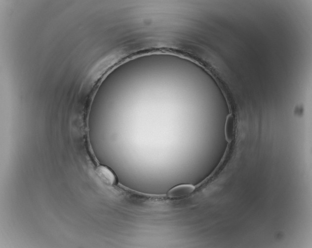 X0000113090977200909182109