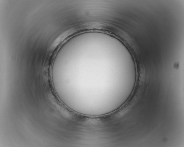 X0000113090978200909182109