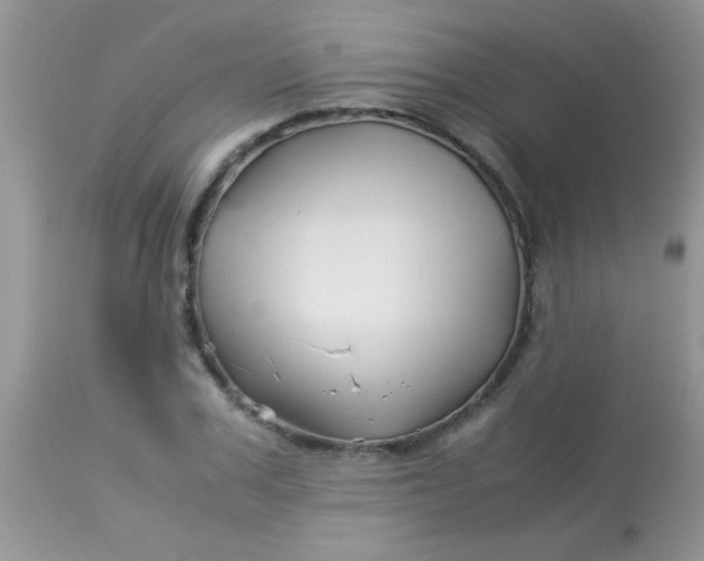 X0000113090979200909182109