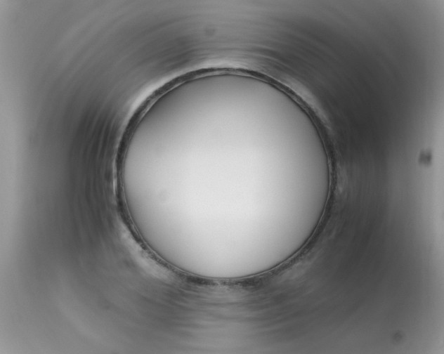 X0000113090980200909182109