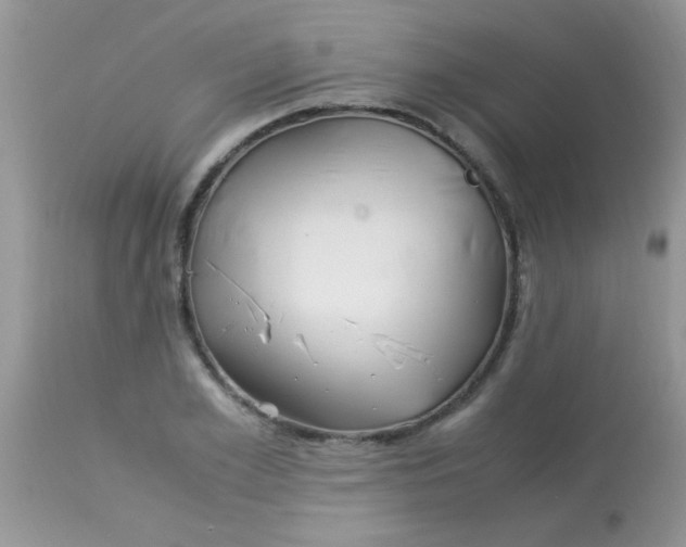 X0000113090981200909182109