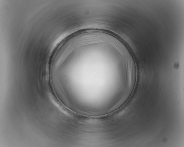 X0000113090982200909182109