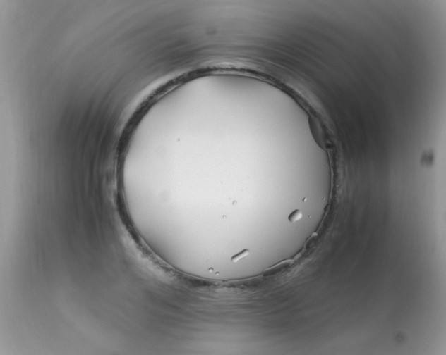 X0000113090984200909182109