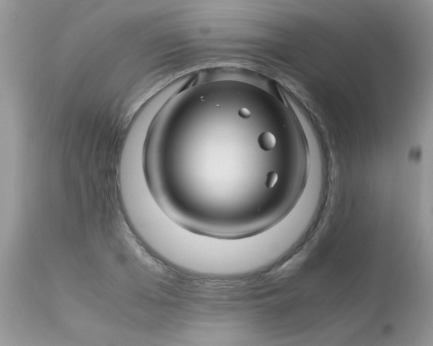 X0000113090985200909182109