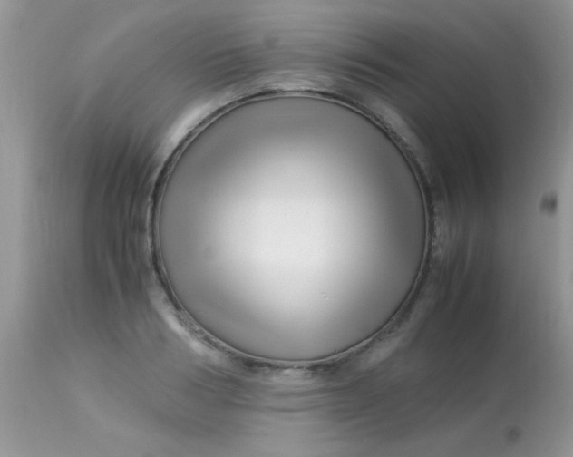 X0000113090986200909182109