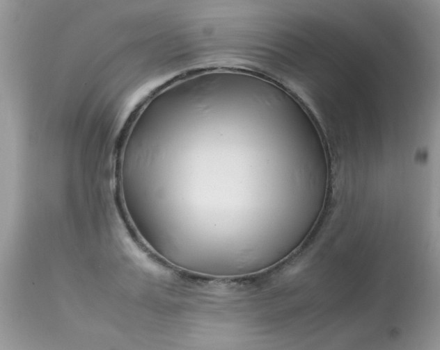 X0000113090987200909182109