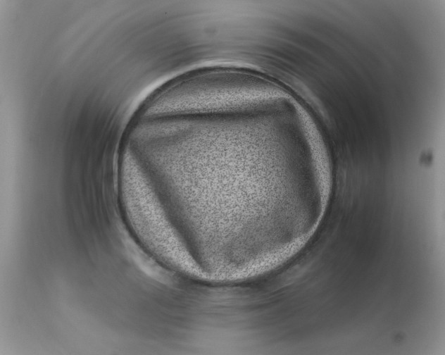 X0000113090988200909182109