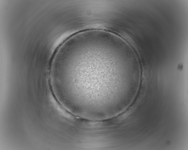 X0000113090989200909182109