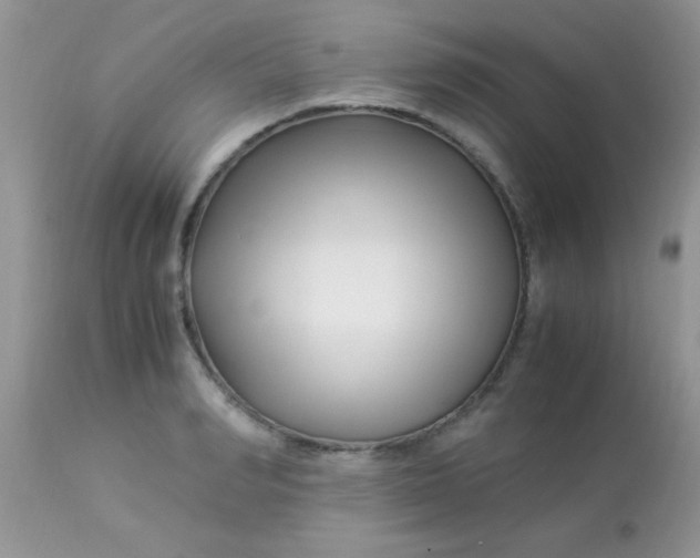 X0000113090990200909182109