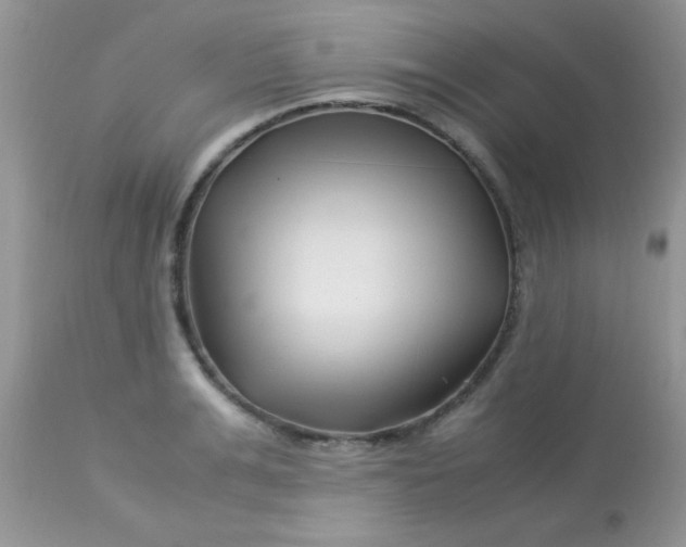 X0000113090991200909182109