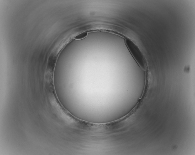 X0000113090993200909182109