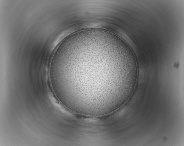 X0000113090994200909182109