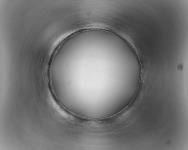 X0000113090995200909182109