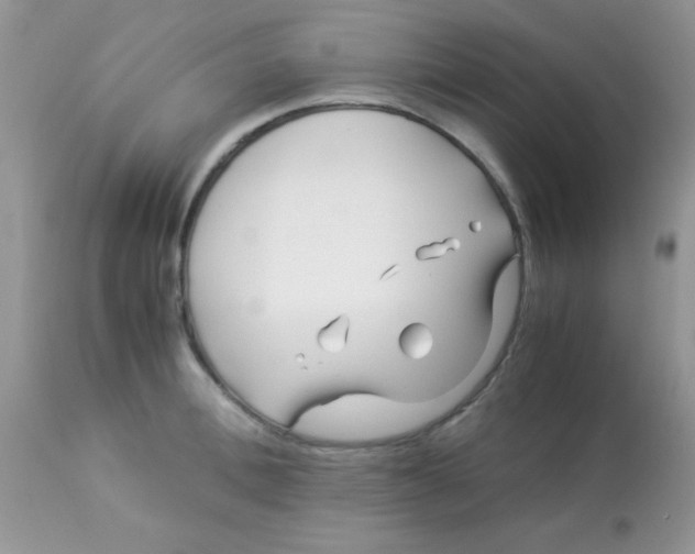 X0000113090996200909182109