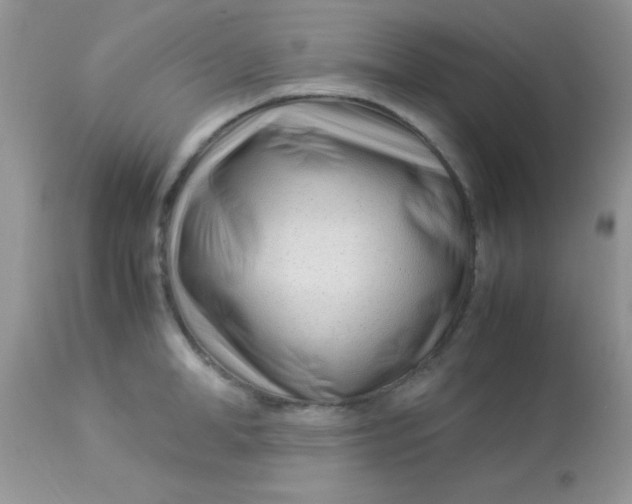 X0000113090998200909182109